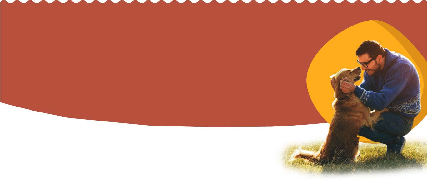 bannerx2