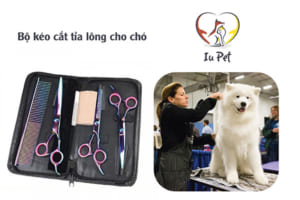 Bộ kéo cắt tỉa lông chó - bo keo cat tia long cho