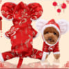 bo hinh chuot