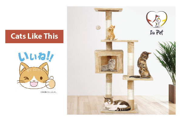 Cách làm trụ cào móng cho mèo – nhà cây cho mèo đẹp