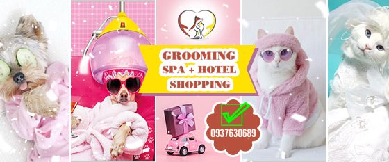 Giới thiệu về IU PETs