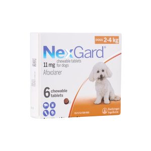vien-nhai-nexgrad-tri-ve-bo-chet-va-ghe-cho-cho