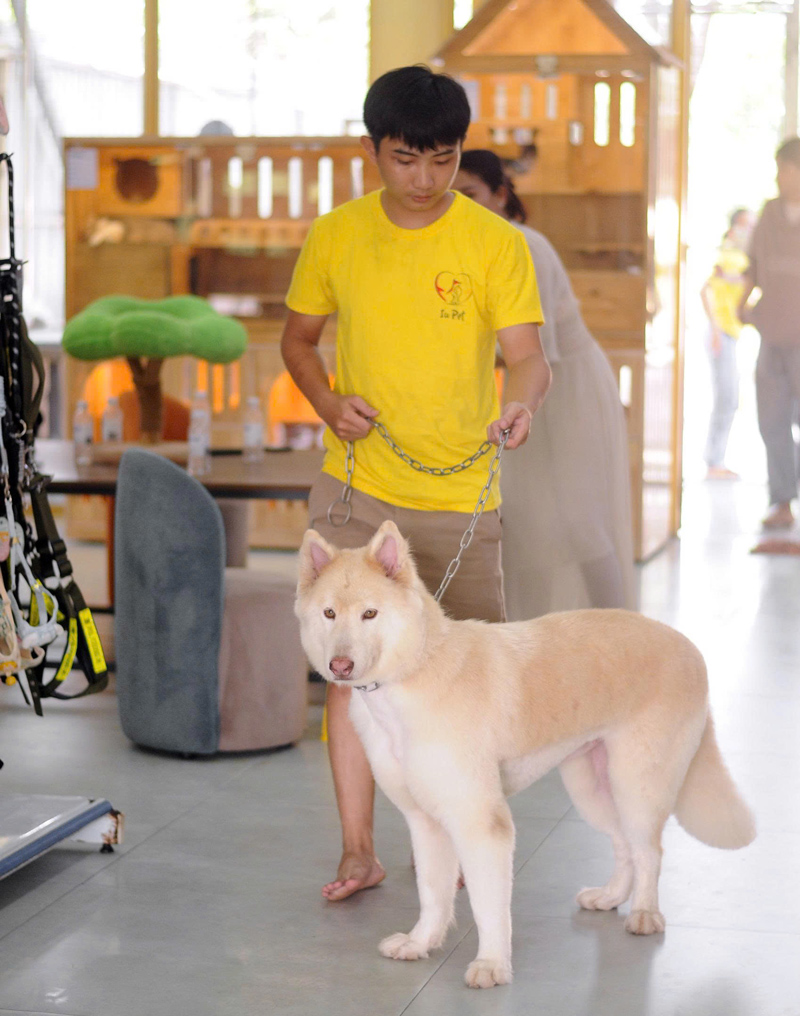 Chi nhánh mới – IU PETS 781A Nguyễn Duy Trinh, Thủ Đức