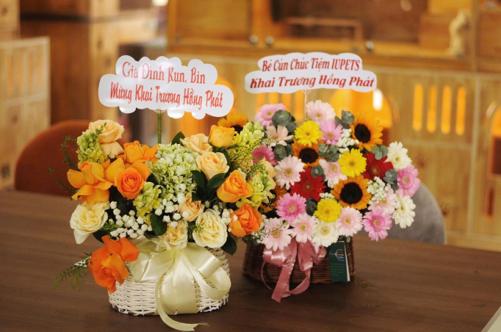 Chi nhánh mới – IU PETS 781A Nguyễn Duy Trinh, Thủ Đức