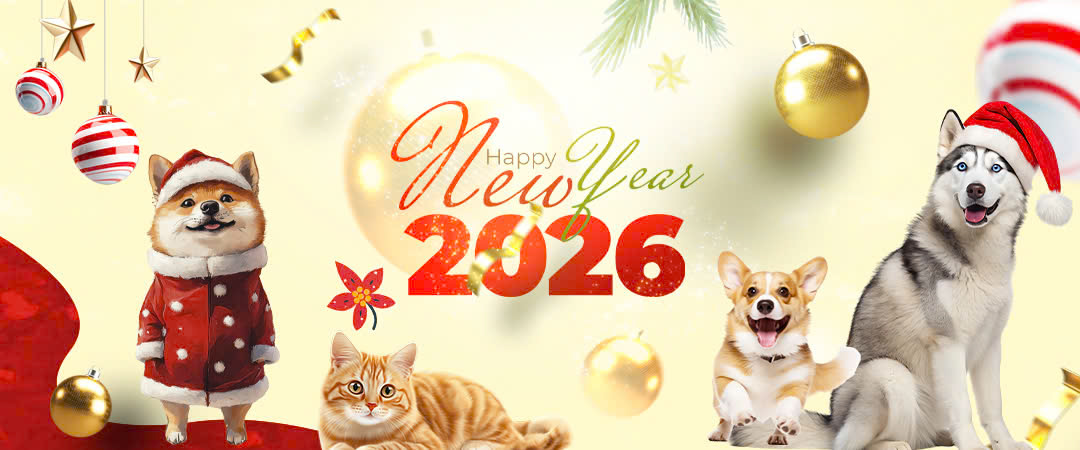banner-giang-sinh